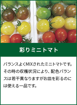 彩りミニトマト